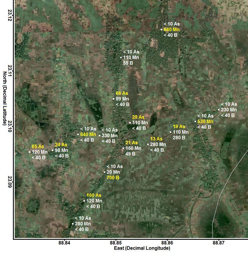 Satellite image showing the arsenic (As), manganese (Mn), and boron (B) concentrations (g/L) in each tubewell from the Bongaon neighborhood area.  Concentrations shown in yellow are greater than World Health Organization (WHO) health-based drinking water guidelines and are considered unsafe.  Concentrations shown in white are less than or equal to these guidelines and are considered safe (Google Maps).